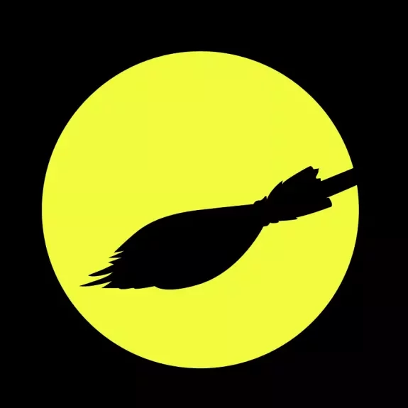 Visuel de La Sorcière de Camille Erlanger 