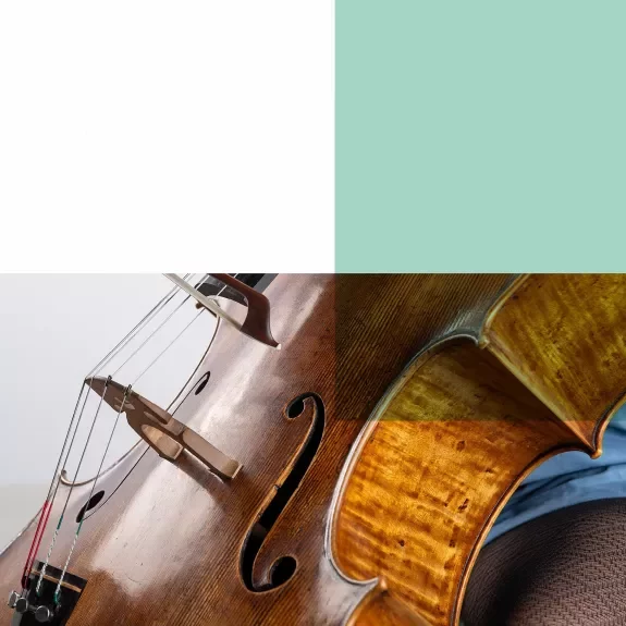 Gros plan sur un violoncelle