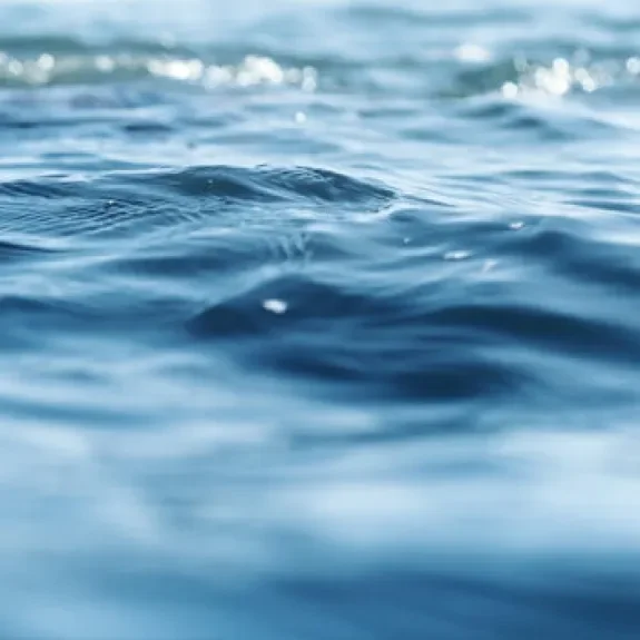 Gros plan sur de l'eau