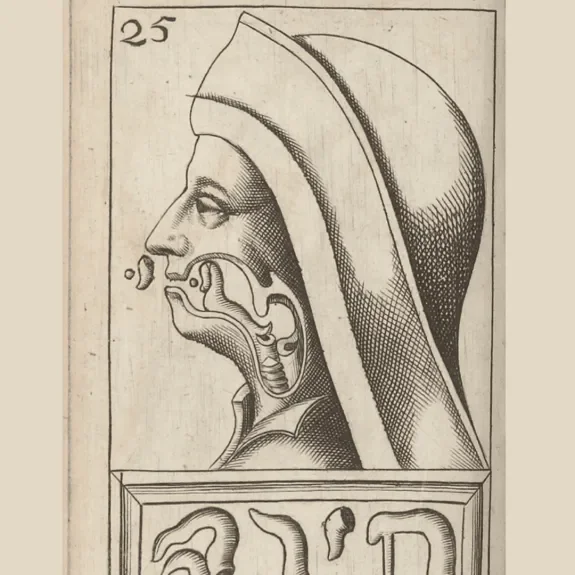 Mercurius van Helmont, Alphabeti veri naturalis hebraici brevissima delineatio, 1667