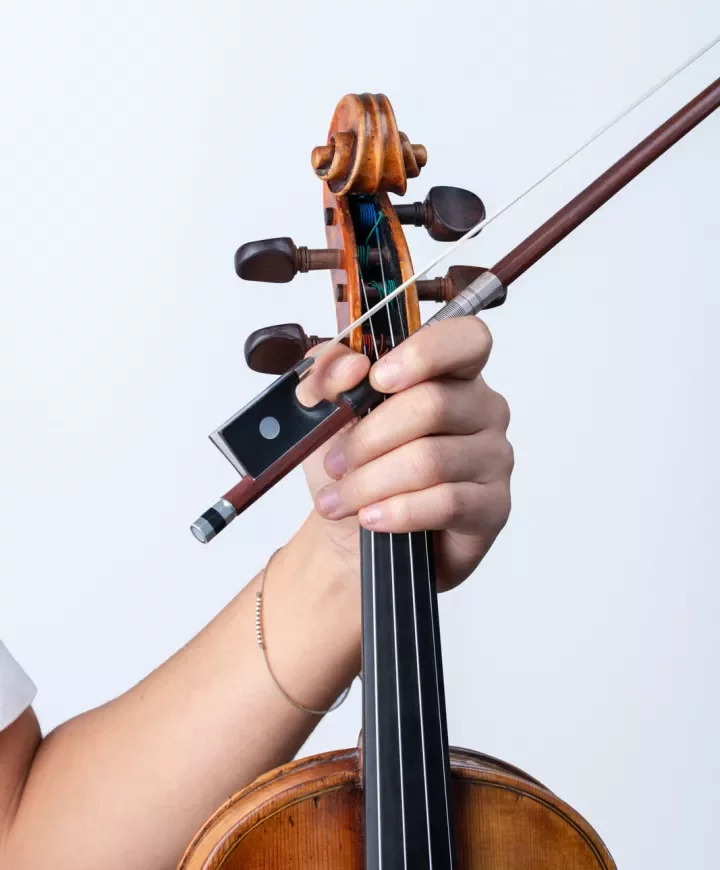 Violon