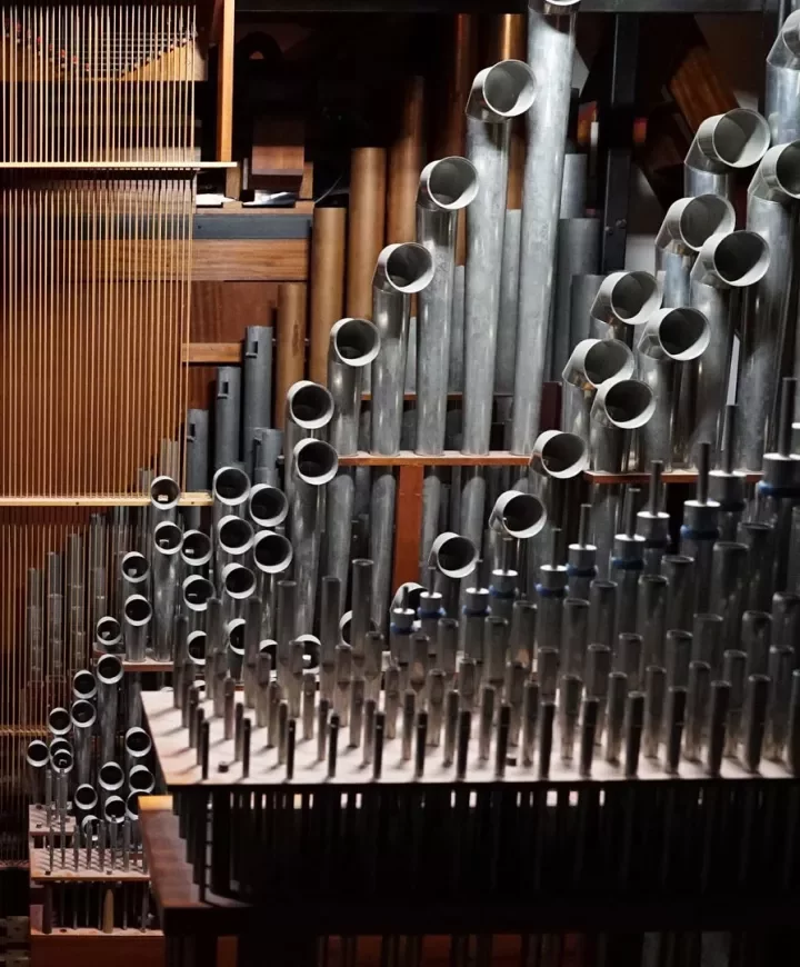 orgue