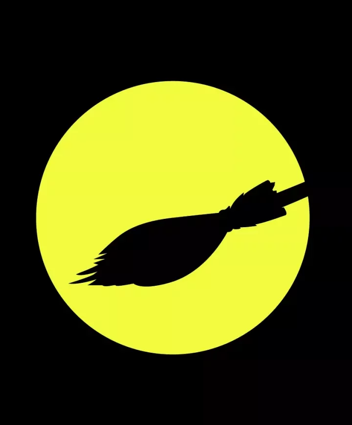 Visuel de La Sorcière de Camille Erlanger 