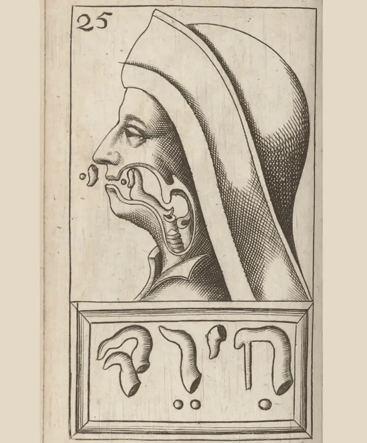 Mercurius van Helmont, Alphabeti veri naturalis hebraici brevissima delineatio, 1667