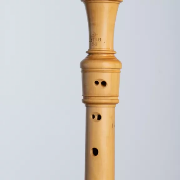 Flûte à bec