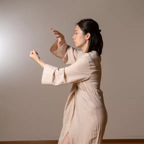 MUSIQUE ET MOUVEMENT danseuse verticale